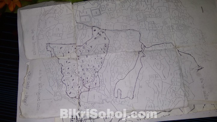 52 bigha land for sale